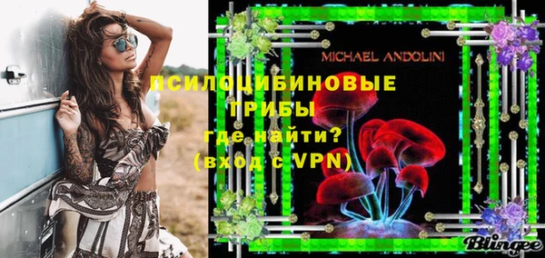 прущие грибы Гусиноозёрск