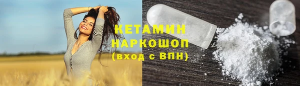 прущие грибы Гусиноозёрск