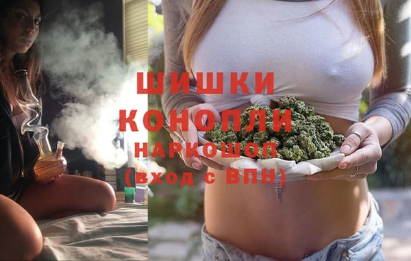 прущие грибы Гусиноозёрск