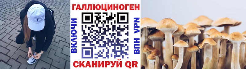 как найти   Нязепетровск  Галлюциногенные грибы Cubensis 
